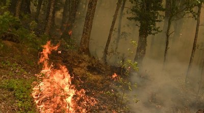 Αττική: Στάχτη έγιναν 5.551 στρέμματα από τις πυρκαγιές του περασμένου Σαββατοκύριακου