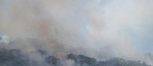 Μάχη με τις φλόγες στη Λέσβο - Επιχειρούν επίγειες και εναέριες δυνάμεις - ΒΙΝΤΕΟ