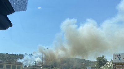 Μεγάλο μέτωπο φωτιάς σε δασική έκταση στην Πρέβεζα - ΦΩΤΟ
