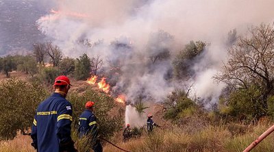 Πυροσβεστική: Σε 42 ανήλθαν οι αγροτοδασικές πυρκαγιές το τελευταίο 24ωρο σε όλη τη χώρα 