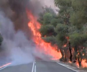 Σε εξέλιξη η πυρκαγιά στην Κορινθία - Τρεις τραυματίες πυροσβέστες - ΒΙΝΤΕΟ