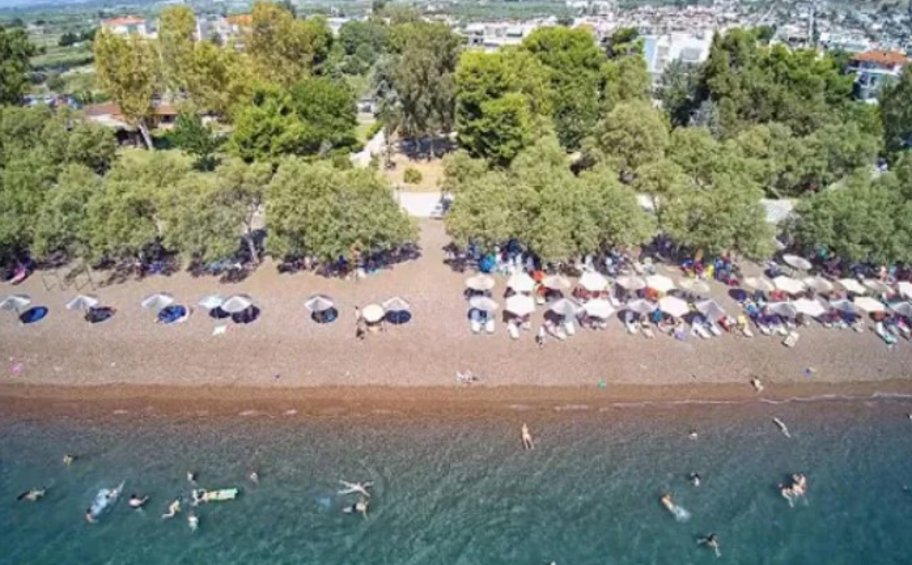 Εφοδος της Κτηματικής στην παραλία της Αγχιάλου – Ξηλώνονται ξαπλώστρες και ομπρέλες - Μπέος: Φολκλορική εικόνα των ελεγκτών
