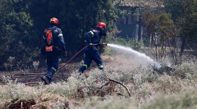 Πυροσβεστική: 52 αγροτοδασικές πυρκαγιές το τελευταίο 24ωρο σε όλη τη χώρα 