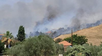Θεσσαλονίκη: Φωτιά ανάμεσα σε Τρίλοφο και Πλαγιάρι – Ήχησε το 112