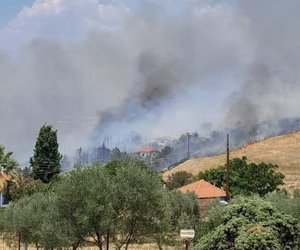 Θεσσαλονίκη: Φωτιά ανάμεσα σε Τρίλοφο και Πλαγιάρι – Ήχησε το 112