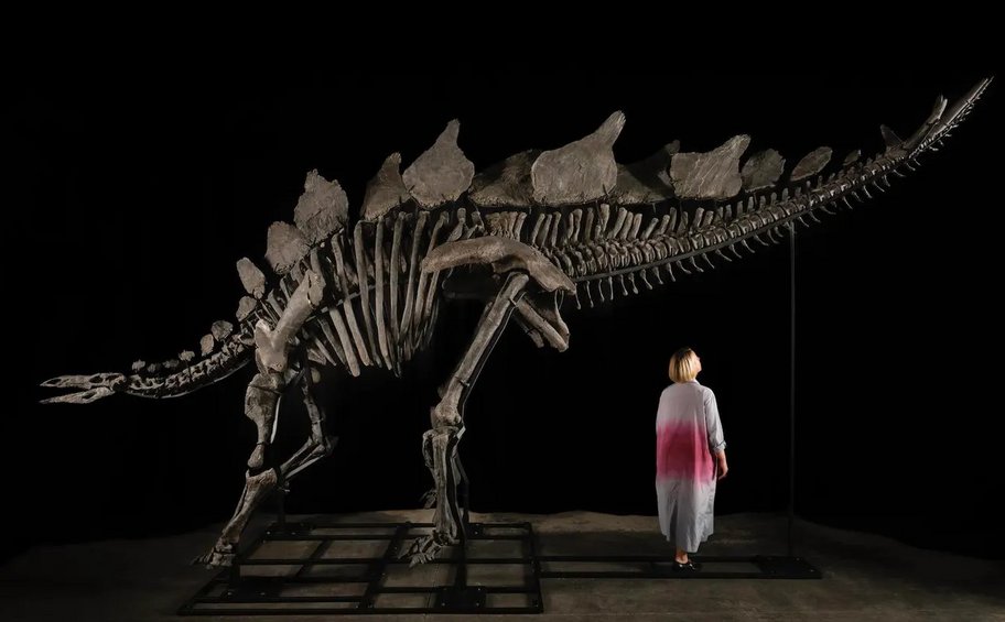 ΗΠΑ: Τιμή ρεκόρ για τον ακριβότερο δεινόσαυρο που διατέθηκε σε δημοπρασία