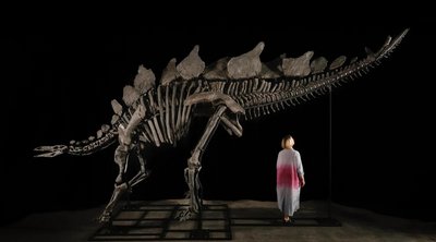 ΗΠΑ: Τιμή ρεκόρ για τον ακριβότερο δεινόσαυρο που διατέθηκε σε δημοπρασία