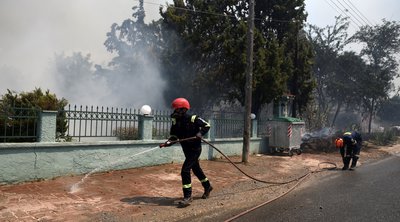 Πυροσβεστική: 45 αγροτοδασικές πυρκαγιές το τελευταίο 24ωρο σε όλη τη χώρα 