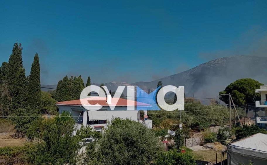 Εύβοια: Φωτιά στην περιοχή Παναγιά - Ήχησε το 112 