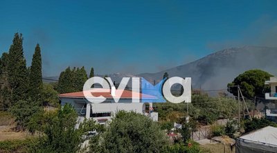 Εύβοια: Φωτιά στην περιοχή Παναγιά - Ήχησε το 112 