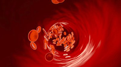 Χαμηλά αιμοπετάλια: Τι να τρώτε για να τα αυξήσετε – Τι σημαίνει όταν είναι κατεβασμένα
