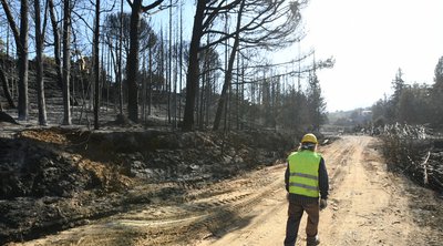 Αποζημιώσεις για τις πυρκαγιές του 2021 - Εκδόθηκε η ΚΥΑ για την τελική επιχορήγηση των αγροτών