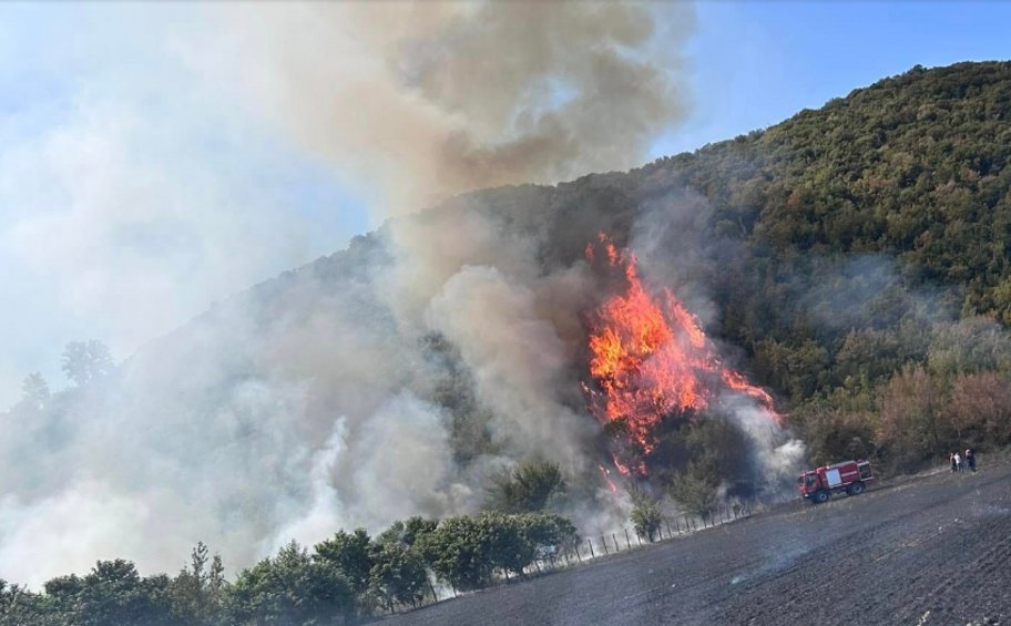 Υπό έλεγχο δασικές πυρκαγιές που εκδηλώθηκαν τις προηγούμενες μέρες σε Καβάλα και Δράμα