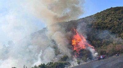 Υπό έλεγχο δασικές πυρκαγιές που εκδηλώθηκαν τις προηγούμενες μέρες σε Καβάλα και Δράμα