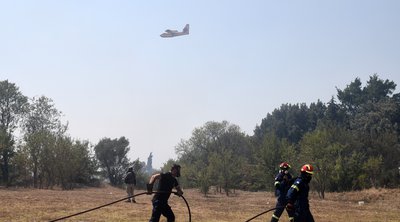 Πυροσβεστική: 29 αγροτοδασικές πυρκαγιές το τελευταίο 24ωρο στη χώρα 