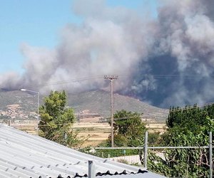 Πυρκαγιά σε δασική έκταση στις Πετριές Ευβοίας - Εστάλη μήνυμα από το 112 - Φωτογραφίες & βίντεο