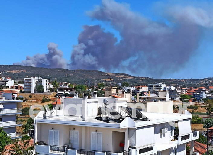 Πυρκαγιά σε δασική έκταση στις Πετριές Ευβοίας - Εστάλη μήνυμα από το 112 - Φωτογραφίες & βίντεο