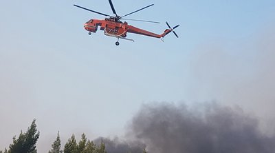 Φωτιά στο Παλαιόκαστρο Λάρισας - Σηκώθηκαν και εναέρια μέσα
