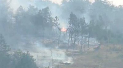 Βόρεια Μακεδονία: Νεκρός σε δασικές πυρκαγιές