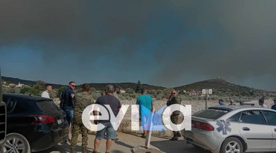 Εύβοια: Νέο πύρινο μέτωπο προς τα χωριά Καμάρι και Πούρνος