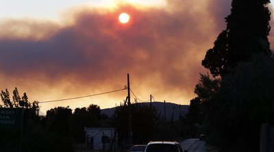 Φωτιά στην Εύβοια: Μάχη με τις φλόγες και μηνύματα για εκκενώσεις - ΒΙΝΤΕΟ 