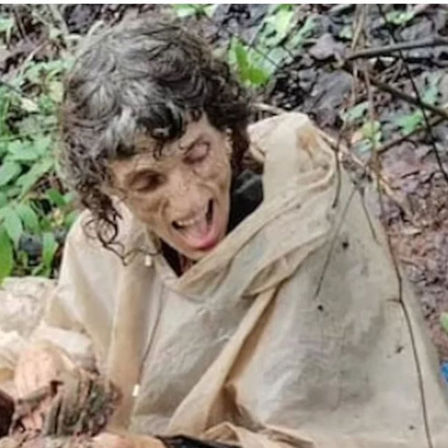Θρίλερ με Αμερικανίδα που βρέθηκε αλυσοδεμένη σε δέντρο στη ζούγκλα της Ινδίας - Τι συνέβη 