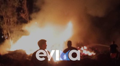 Φωτιά στην Εύβοια: Καρέ – καρέ η στιγμή που τραυματίζεται πυροσβέστης