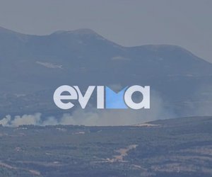 Νέα φωτιά στην Εύβοια - Οι πρώτες εικόνες 