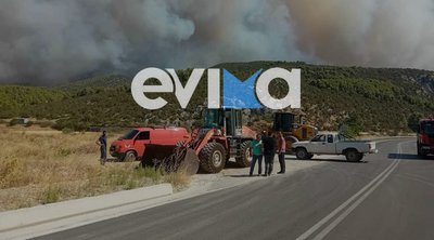 Φωτιά στην Εύβοια: Ενισχύθηκαν οι δυνάμεις - Μήνυμα του 112 για απομάκρυνση από το Αφράτι 