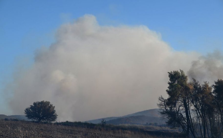 Χωρίς ενεργό μέτωπο οι πυρκαγιές σε Εύβοια και Ρέθυμνο - Μάχη με τις αναζωπυρώσεις
