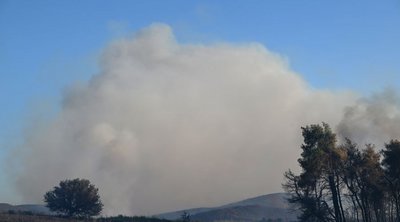 Χωρίς ενεργό μέτωπο οι πυρκαγιές σε Εύβοια και Ρέθυμνο - Μάχη με τις αναζωπυρώσεις
