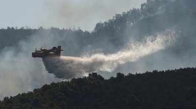 Φωτιά στην Εύβοια: Αναζωπύρωση πάνω από το χωριό Αφράτι - ΒΙΝΤΕΟ