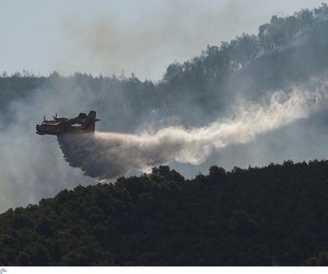 Φωτιά στην Εύβοια: Αναζωπύρωση πάνω από το χωριό Αφράτι - ΒΙΝΤΕΟ