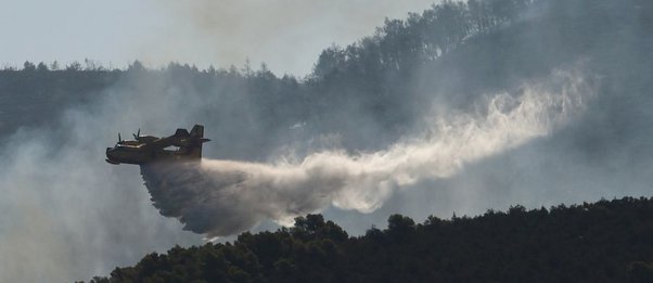 Φωτιά στην Εύβοια: Αναζωπύρωση πάνω από το χωριό Αφράτι - ΒΙΝΤΕΟ