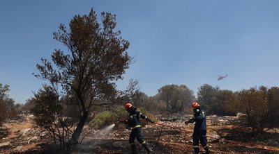 Σε ύφεση η πυρκαγιά στην Αγία Μαρίνα Κορωπίου 