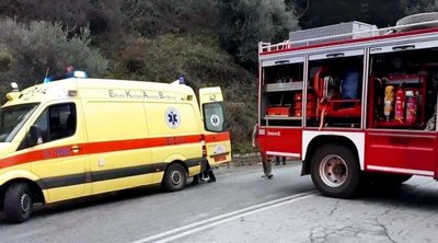 Τραγωδία στην Εύβοια: Έπαθε εγκεφαλικό την ώρα που ξέσπασε η μεγάλη φωτιά
