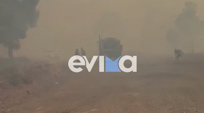 Φωτιά στην Εύβοια: Ανετράπη όχημα της Πυροσβεστικής - Σώος εντοπίστηκε ο οδηγός 