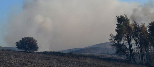 Χωρίς ενεργό μέτωπο οι πυρκαγιές σε Εύβοια και Ρέθυμνο - Μάχη με τις αναζωπυρώσεις
