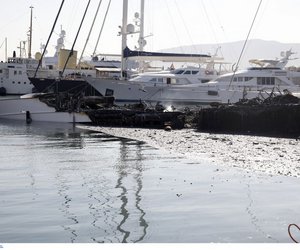 Μαρίνα Ζέας: Εικόνες καταστροφής από την πυρκαγιά - Βυθίστηκαν τρία σκάφη - ΒΙΝΤΕΟ