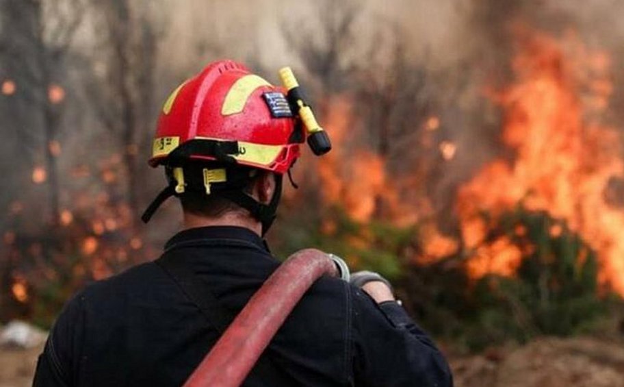 Μεσσηνία: Φωτιά στην περιοχή Στενύκλαρος 