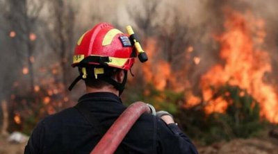 Μεσσηνία: Φωτιά στην περιοχή Στενύκλαρος 