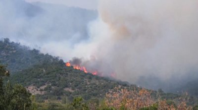 Ροδόπη: Μαίνεται η πυρκαγιά στη Νέα Σάντα 