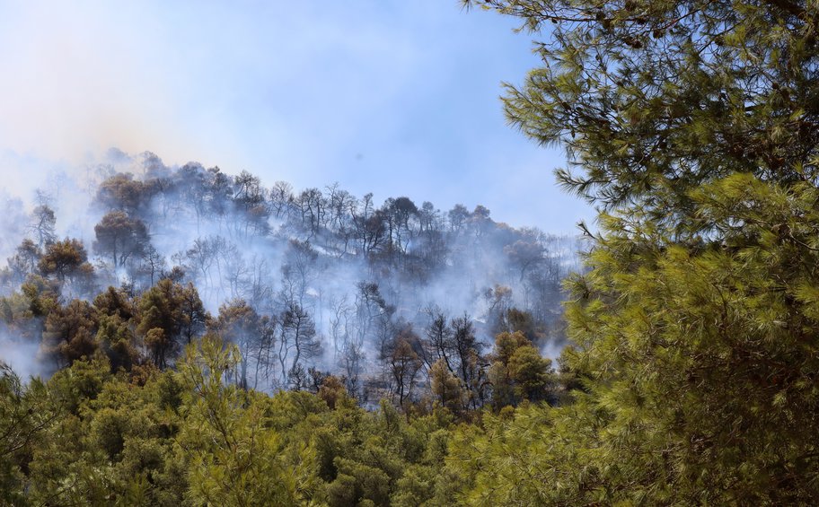 Περισσότερα από 9.500 στρέμματα κάηκαν από την πυρκαγιά στον Πισσώνα Ευβοίας