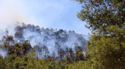 Περισσότερα από 9.500 στρέμματα κάηκαν από την πυρκαγιά στον Πισσώνα Ευβοίας