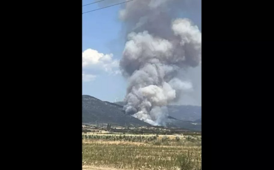 Πυρκαγιά στη Νέα Σάντα Ροδόπης