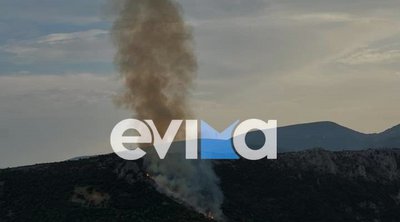Σε εξέλιξη πυρκαγιές σε Ναύπλιο και Εύβοια