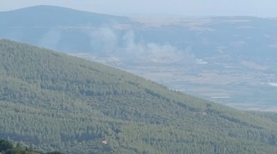 Υπό μερικό έλεγχο τέθηκαν οι πυρκαγιές σε Θέρμη και Βοιωτία