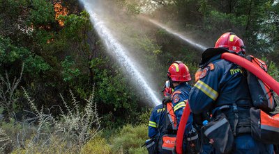 Υπό μερικό έλεγχο η φωτιά σε χαμηλή βλάστηση κοντά στο Πολύκαστρο Κιλκίς