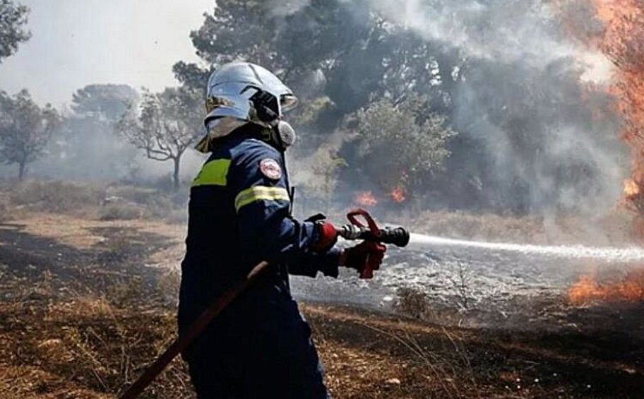 Θεσσαλονίκη: Πυρκαγιά σε δασική έκταση στον δήμο Πρεσπών
