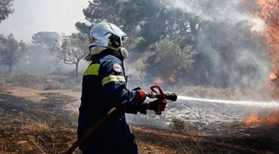 Θεσσαλονίκη: Πυρκαγιά σε δασική έκταση στον δήμο Πρεσπών